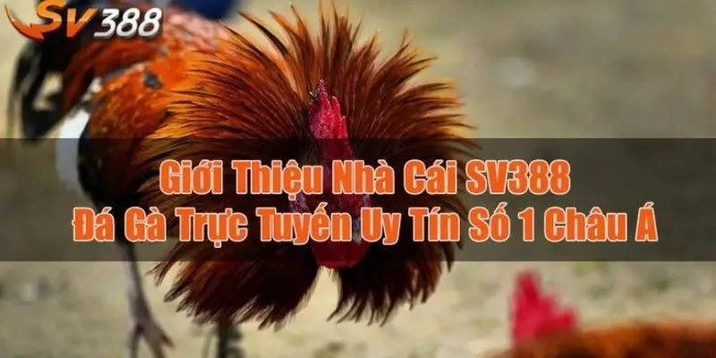 Giới Thiệu SV388