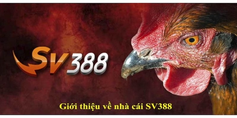 Giới thiệu SV388 link không chặn mới nhất.
