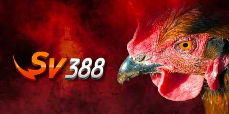 Ưu Điểm sv 388