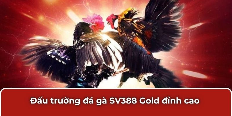 Đấu trường đá gà SV388 Gold đỉnh cao