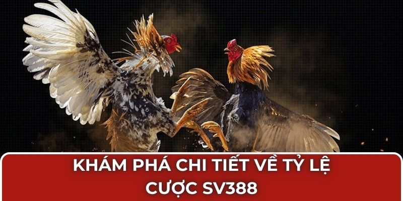 Khám phá chi tiết về tỷ lệ cược SV388