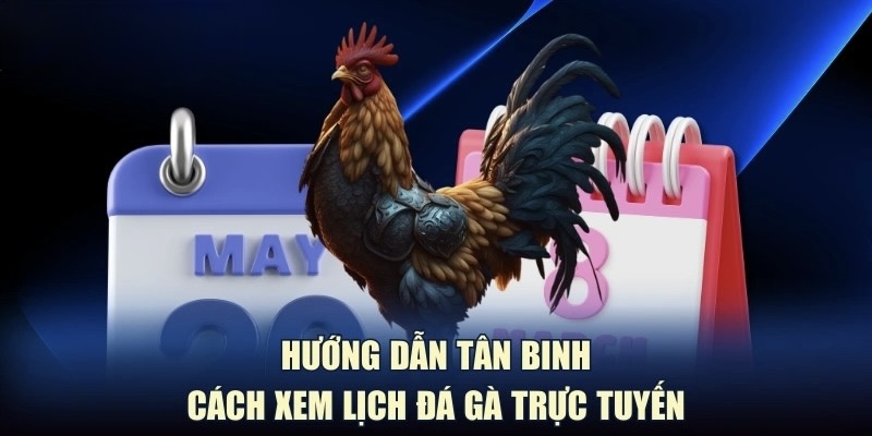 lich-thi-dau-da-ga-hom-nay-huong-dan