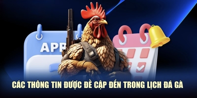 Các thông tin trong lịch thi đấu đá gà SV388.