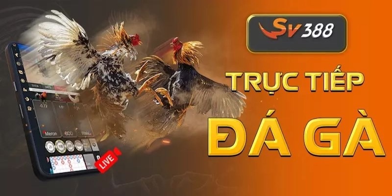 SV388 đá gà trực tiếp 2025.