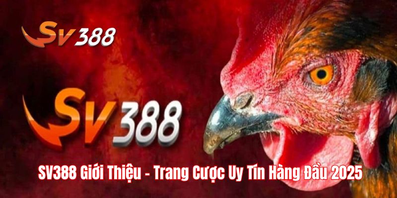 SV388 giới thiệu sảnh đá gà rực lửa 2025